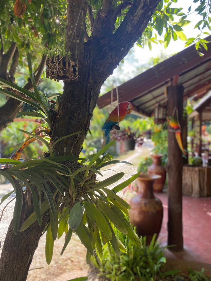 นพรัตน์การ์เด้นฮิลล์ Hotel Uthai Thani Eksteriør billede